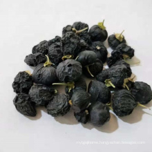 Wholesale High Quality Black Freeze Dried Wolfberries Bulk